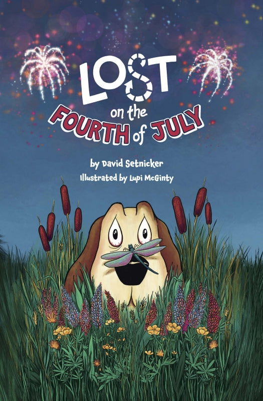 Lost on the Fourth of July Itasca Books