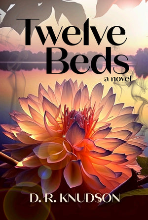Twelve Beds: A Novel
