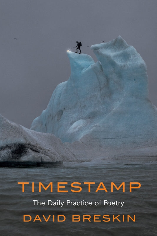 Timestamp Book TIMESTAMP: The Daily Practice of Poetry – Itasca Books