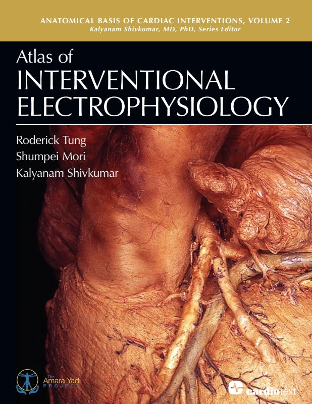 Atlas of Interventional Electrophysiology: Anatomical Basis of Cardiac Interventions,  Volume 2
