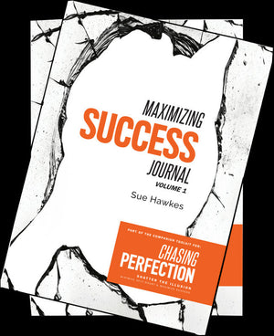 Maximizing Success Journal (2 volume set)